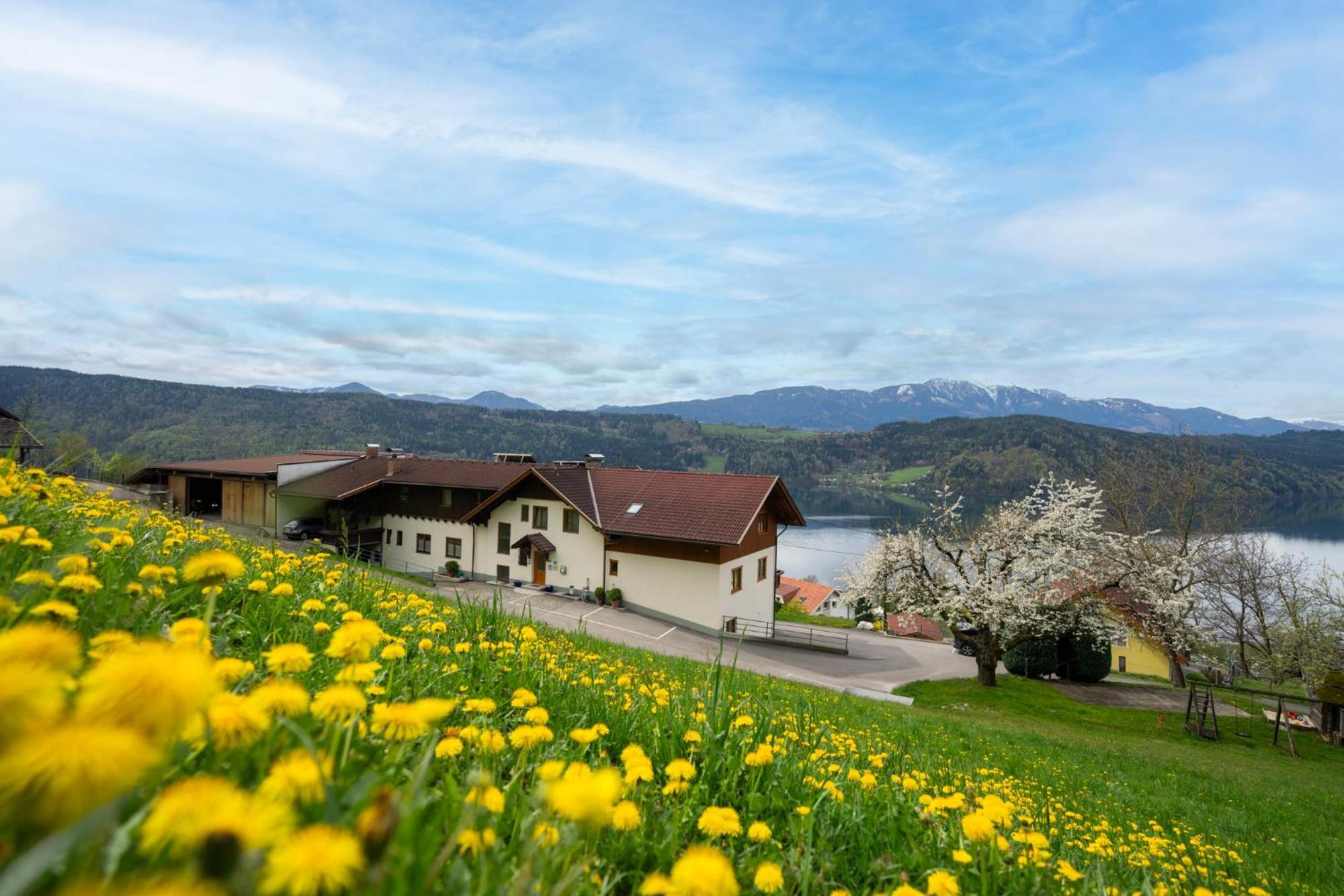 Fruehstueckspension Goetzfried-Hof Millstatt Exterior foto